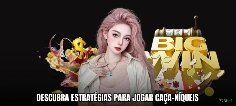 773brl Segurança